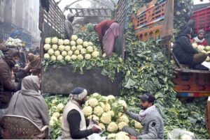 Labourers are unloading corn cobs from a delivery van at Vegetable Market