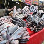 A vendor displaying fresh fish to attract the customers on his cart in Federal Capital