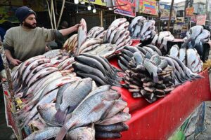 A vendor displaying fresh fish to attract the customers on his cart in Federal Capital