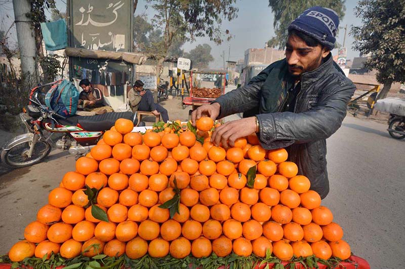 Vendor displaying oranges to attract the customer at Haji Camp