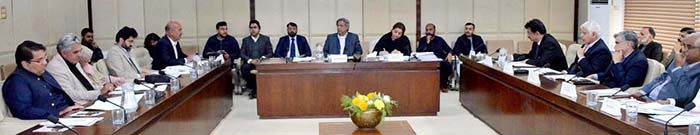 Chairman Senate Standing Committee on Power, Senator Azam Nazeer Tarar presiding over a meeting of the committee at Parliament House