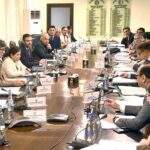 Caretaker Federal Minister for Finance, Revenue and Economic Affairs, Dr. Shamshad Akhtar chairing a meeting of Economic Coordination Committee of the Cabinet.