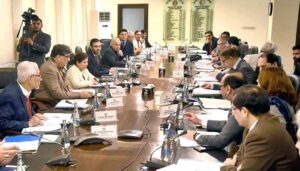 Caretaker Federal Minister for Finance, Revenue and Economic Affairs, Dr. Shamshad Akhtar chairing  a meeting of Economic Coordination Committee of the Cabinet.