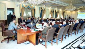 Caretaker Prime Minister Anwaar-ul-Haq Kakar chairs a meeting of the National Economic Council