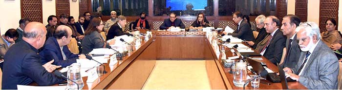 Senator Saleem Mandviwalla, Chairman Senate Standing Committee on Finance and Revenue presiding over a meeting of the committee at Parliament House