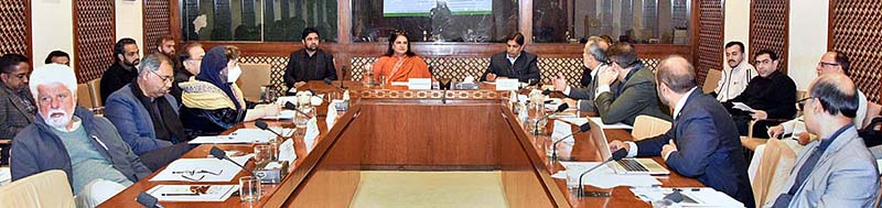 Senator Mrs. Rubina Khalid, Chairperson Senate Standing Committee on Maritime Affairs presiding over a meeting of the committee at Parliament House