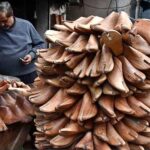 A whole seller displaying and selling the footwear wooden frames using for preparing shoes at local market