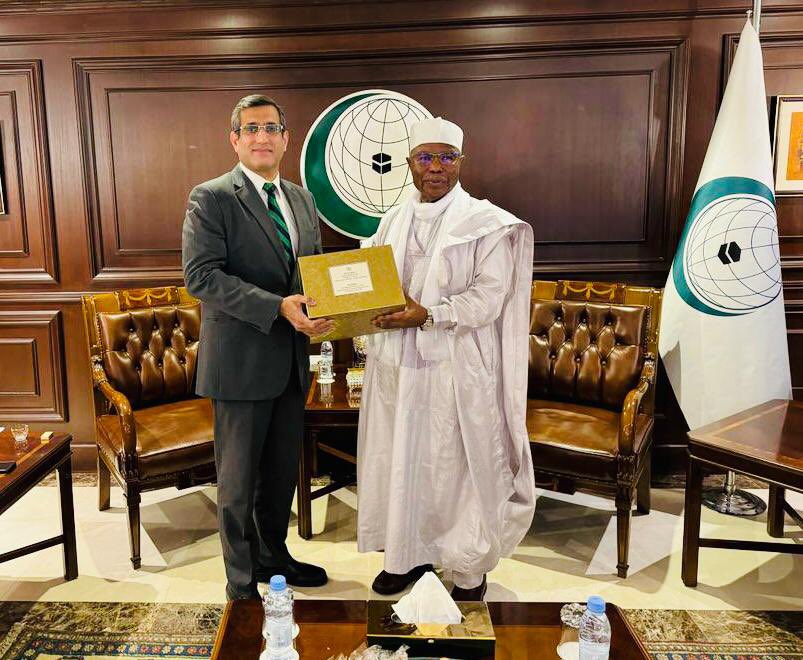 OIC chief, Pakistan envoy discuss prospects of cooperation