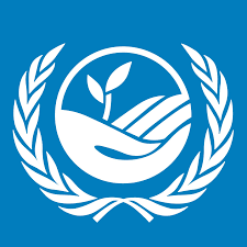 UNCCD