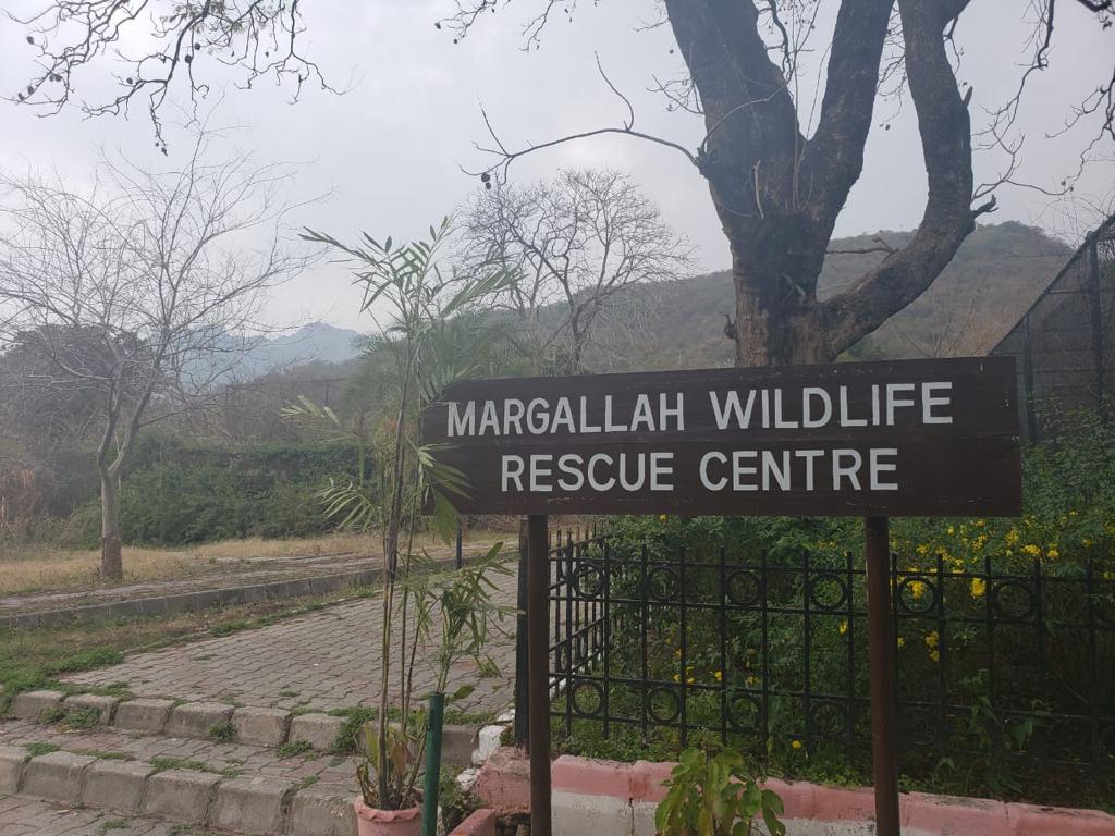 Civil society, environmentalists berate civic agency for intending to repossess Islamabad Zoo