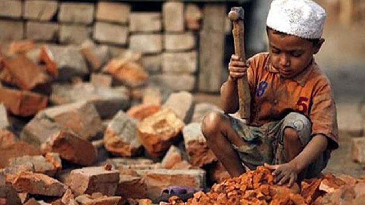 Measures taken against forced, child labor reviewed