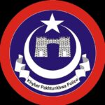 Safe Election digital applications