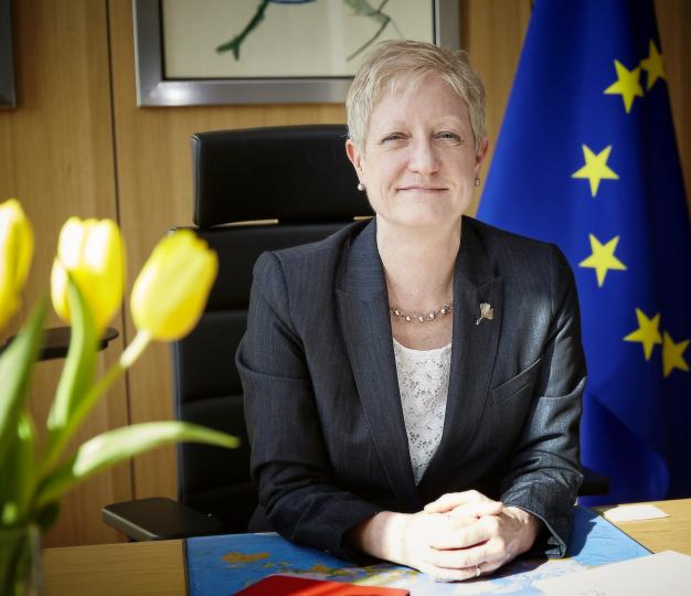 EU Envoy