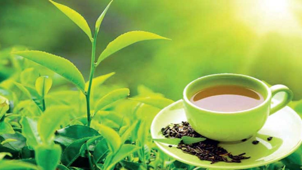 Tea valuing $391.408 mln imported in 07 months