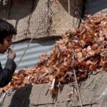 Youngster eating onion picking from garbage at Vegetable market in the Federal Capital.