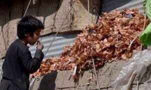 Youngster eating onion picking from garbage at Vegetable market in the Federal Capital.