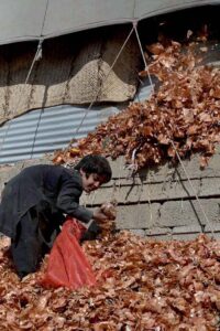 Youngster eating onion picking from garbage at Vegetable market in the Federal Capital.