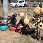 A vendor displaying nests to attract customers at his roadside setup at H-9 in the Federal Capital.