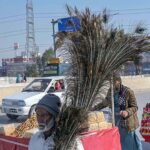 A street vendor displaying peacock feathers to attract customers at Khanna Pul.