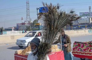 A street vendor displaying peacock feathers to attract customers at Khanna Pul.