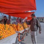 A vendor busy sprinkling water on Organes to keep them fresh at Khanna Pul