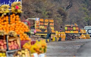Vendors displaying fruits at roadside setup to attract the customers.