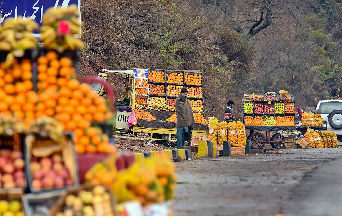 Vendors displaying fruits at roadside setup to attract the customers.