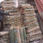 A vendor displaying and selling cane sticks in the city.
