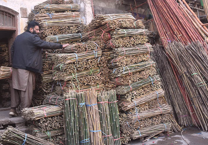 A vendor displaying and selling cane sticks in the city.