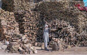 A worker busy in cutting woods into piece at Lethrar Road