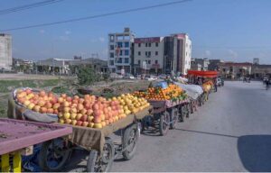 A vendor busy sprinkling water on Organes to keep them fresh at Khanna Pul