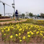 A view of a blossoming and flourishing flowers outside the Parliament House in the Federal Capital.