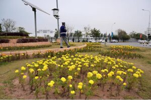 A view of a blossoming and flourishing flowers outside the Parliament House in the Federal Capital.