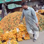 A vendor displaying oranges at his roadside stall to attract the customers.