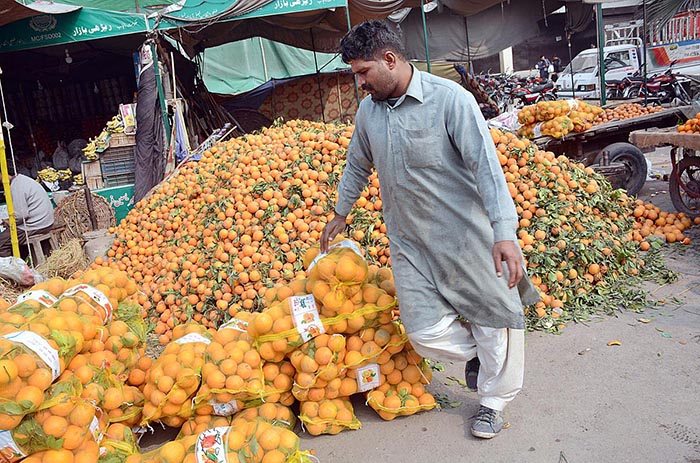 A vendor displaying oranges at his roadside stall to attract the customers.