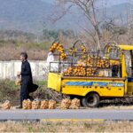 A fruit vendor displays oranges along the roadside to attract the customers near Lake View area