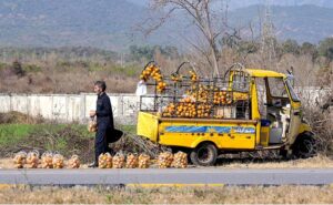A fruit vendor displays oranges along the roadside to attract the customers near Lake View area