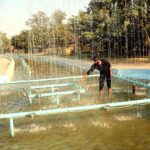 PHA worker repairing fountain at Jilani Park.