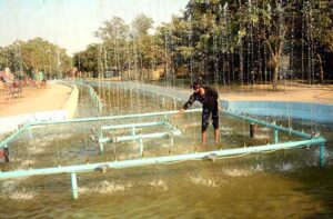 PHA worker repairing fountain at Jilani Park.