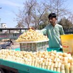 A vendor selling sugarcane pieces on his roadside setup