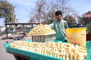 A vendor selling sugarcane pieces on his roadside setup