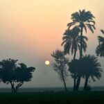 A beautiful view of sunrise over the skies in the City.