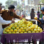 A vendor selling melons at roadside