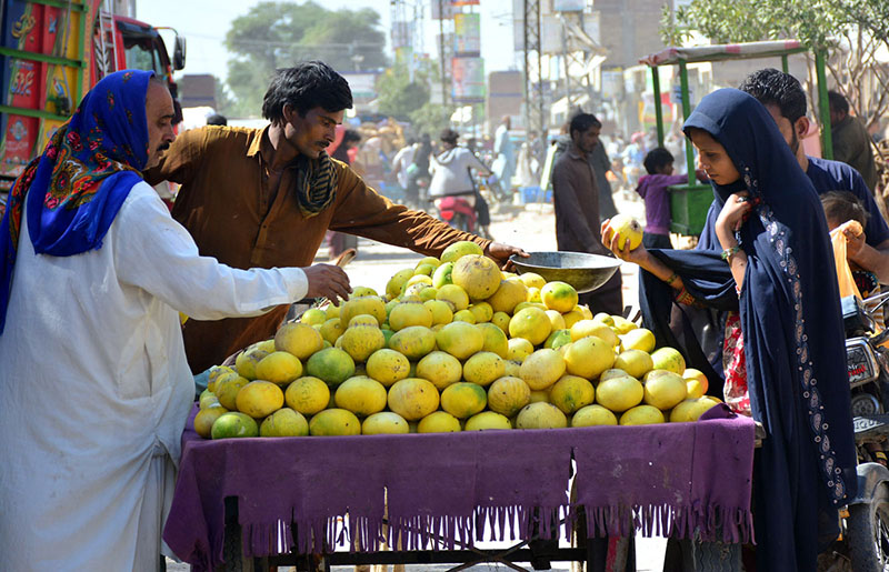 A vendor selling melons at roadside