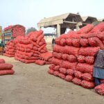 Labourers are busy in unloading sacks of onion from delivery trucks at Vegetable Market