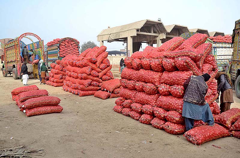 Labourers are busy in unloading sacks of onion from delivery trucks at Vegetable Market