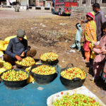 Children purchasing jujube from vendor at fruits market.