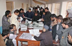 A senior citizen casting her vote in a polling station during General Elections 2024.