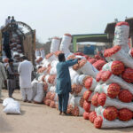 Laborers are unloading onions from the delivery truck at Vegetable Market