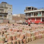 Vendor displaying tomato bags for bidding at Vegetable Market.